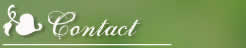 Contact us acces plan